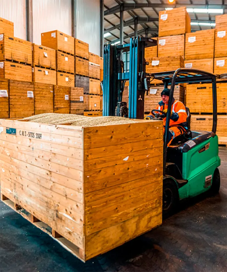 Truckförare i varselkläder som lyfter en stor trälåda fylld med spannmål med en eldriven motviktstruck från Logisnext i en lagerhall